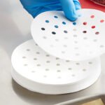 patty paper with holes